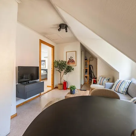 3br Loft-apartment Near Downtown & Ocean * Bergen